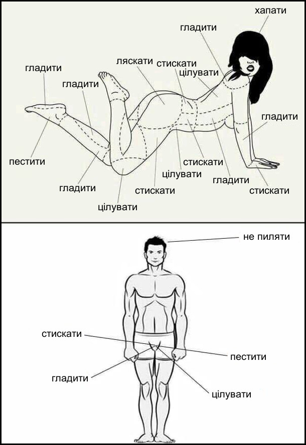 Ерогенні зони - це